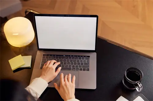 松岗教育办在哪个位置